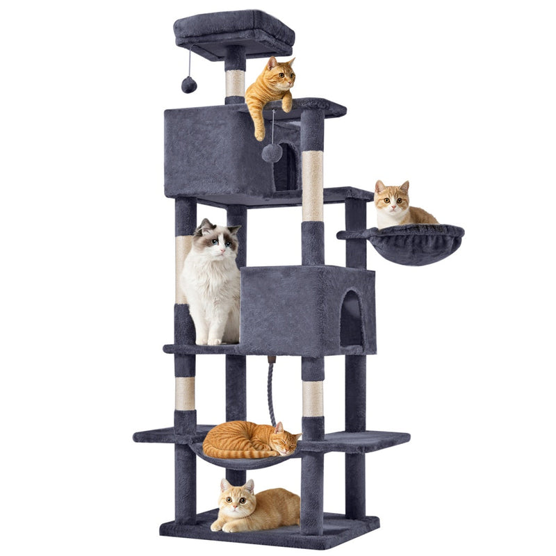Cats collection