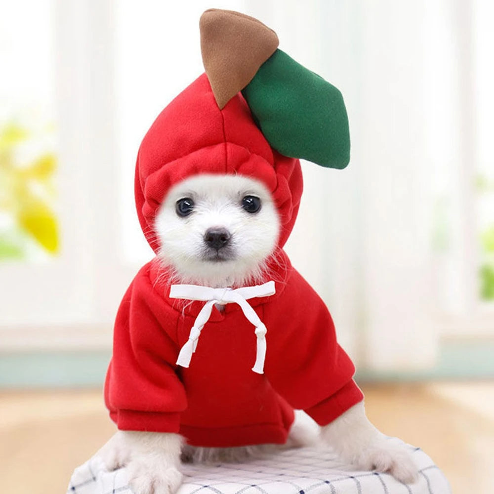 Fruit & Friends Costume Hoodie — Mix & Match 3-Pack for Small Dogs
