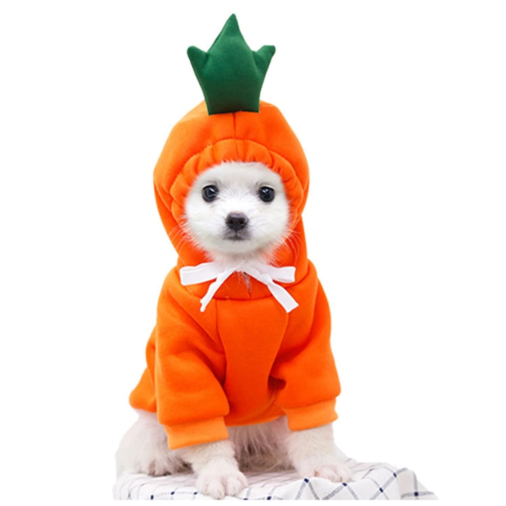 Fruit & Friends Costume Hoodie — Mix & Match 3-Pack for Small Dogs