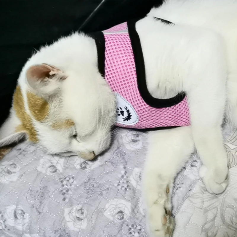 Reflective Pet Harness & Leash Set