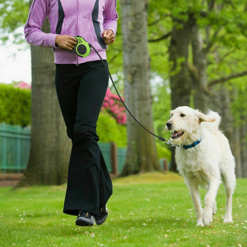 Retractable Dog Leash — 16 ft