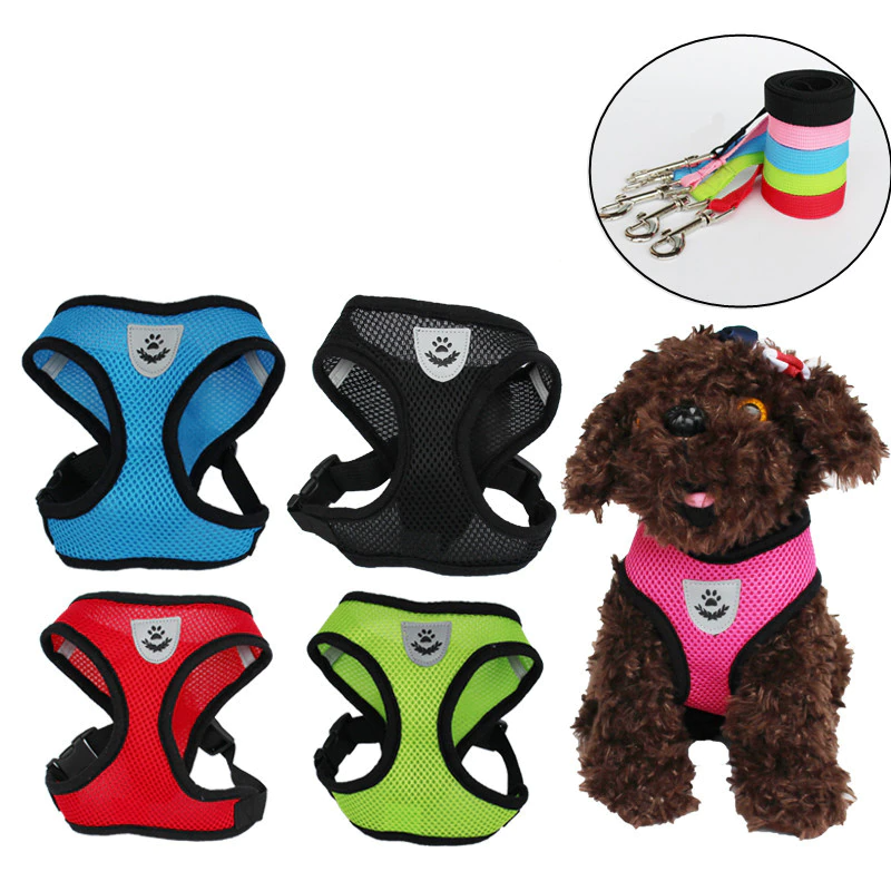 Reflective Pet Harness & Leash Set