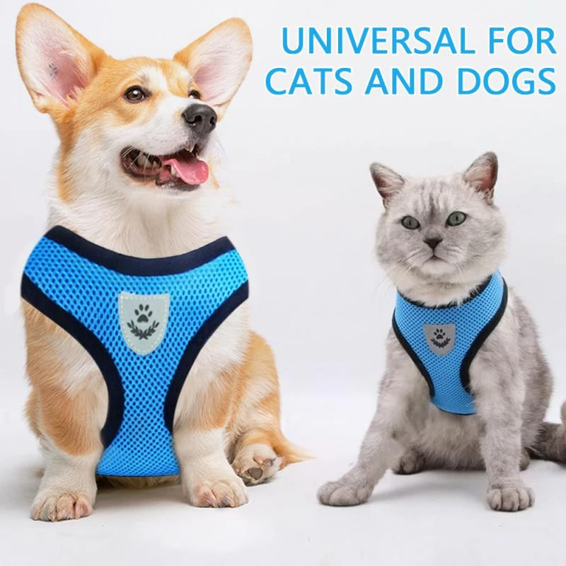 Reflective Pet Harness & Leash Set