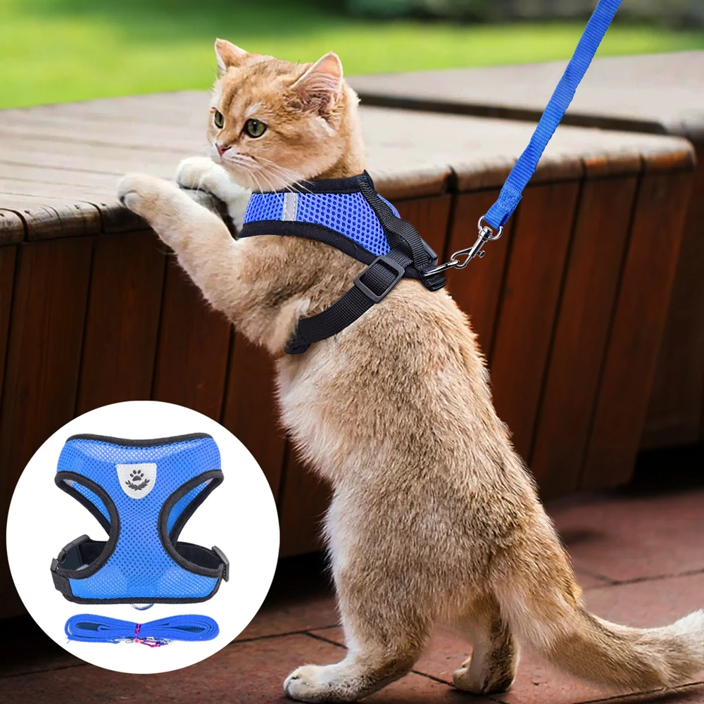 Reflective Pet Harness & Leash Set