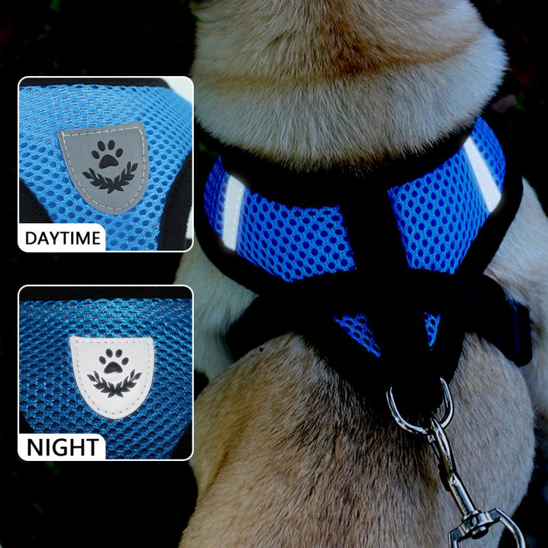 Reflective Pet Harness & Leash Set