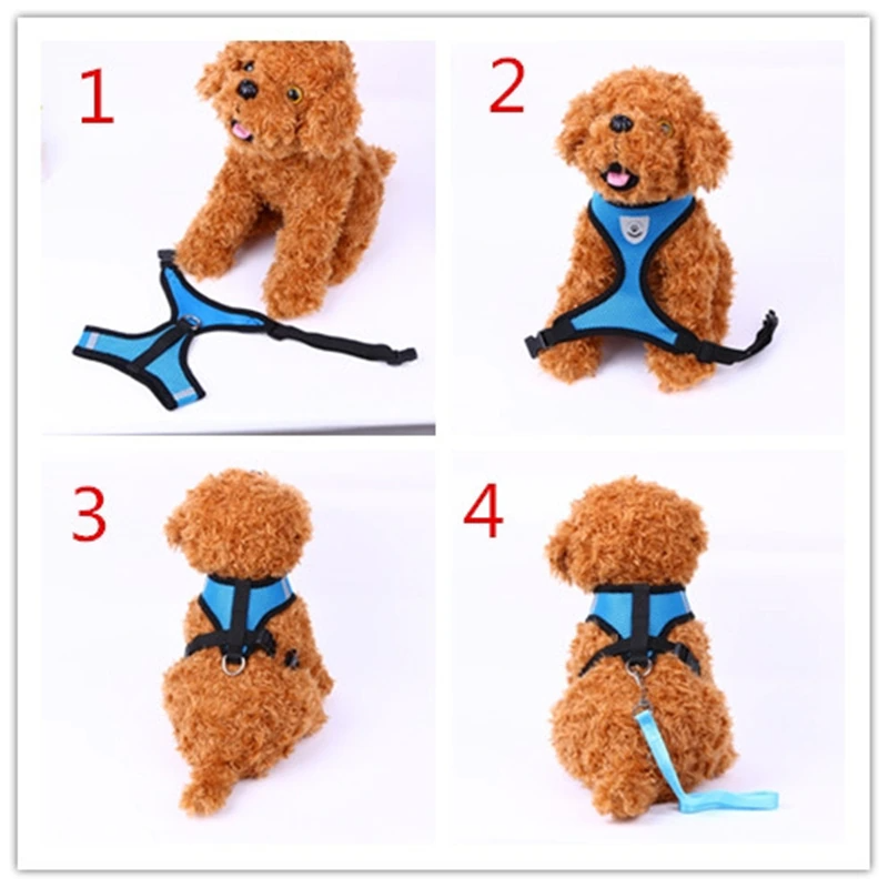 Reflective Pet Harness & Leash Set