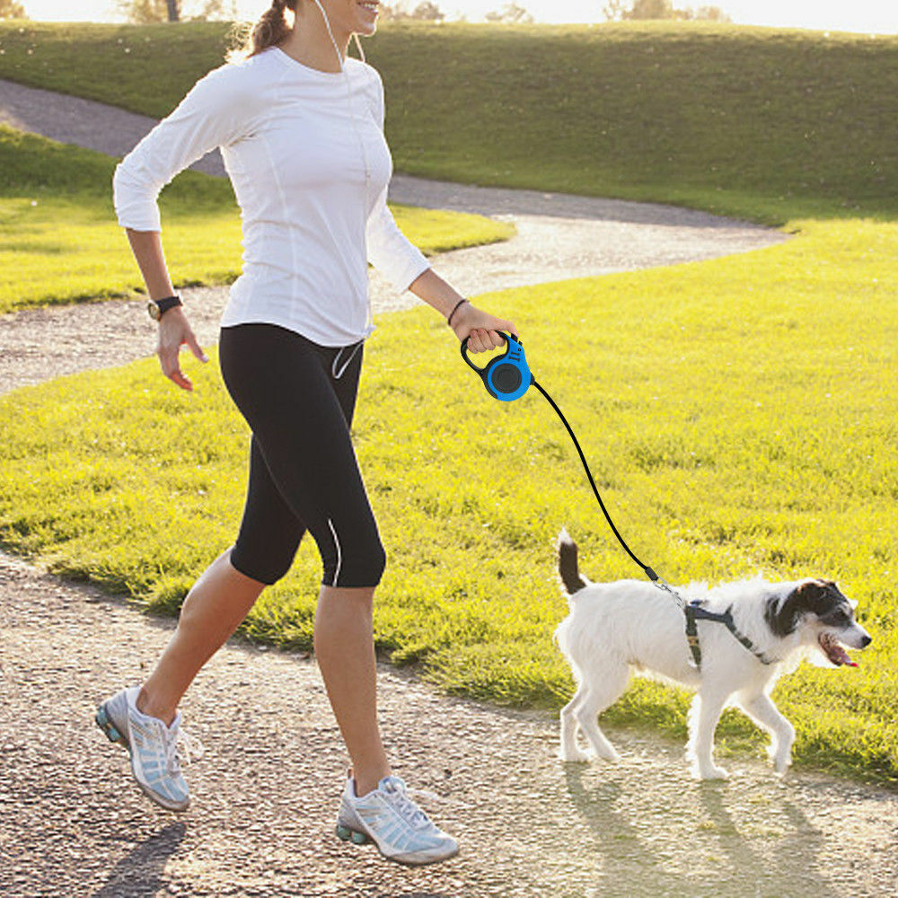 Retractable Dog Leash — 16 ft