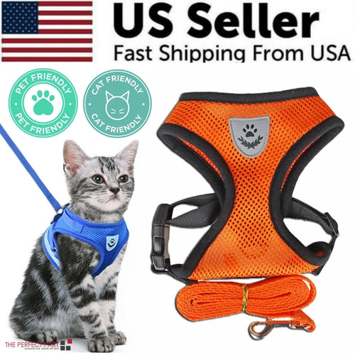 Reflective Pet Harness & Leash Set