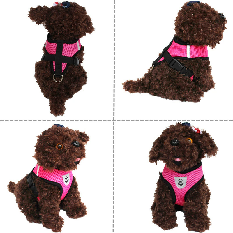 Reflective Pet Harness & Leash Set
