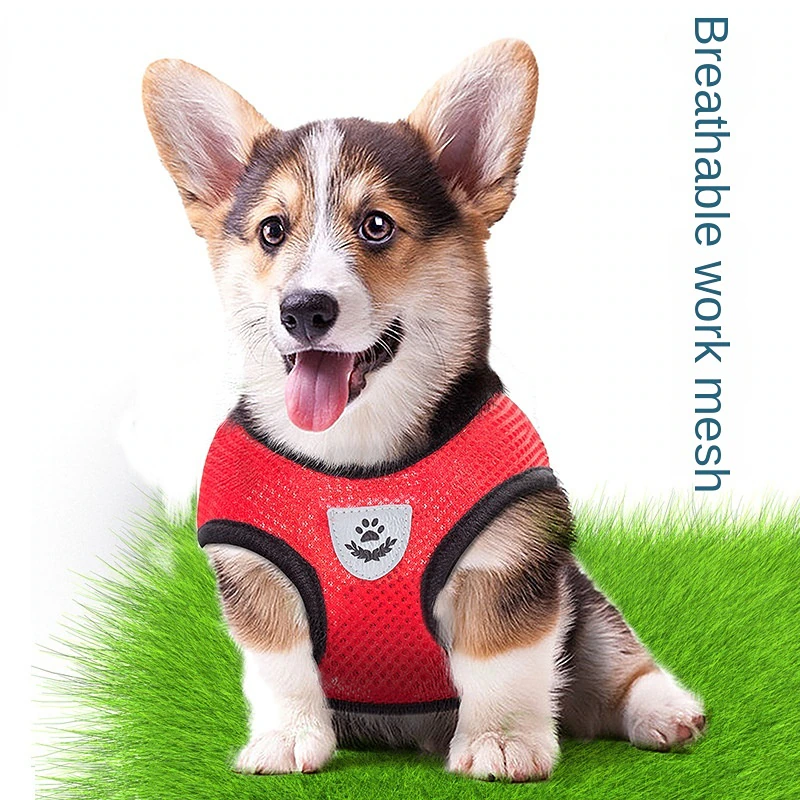 Reflective Pet Harness & Leash Set