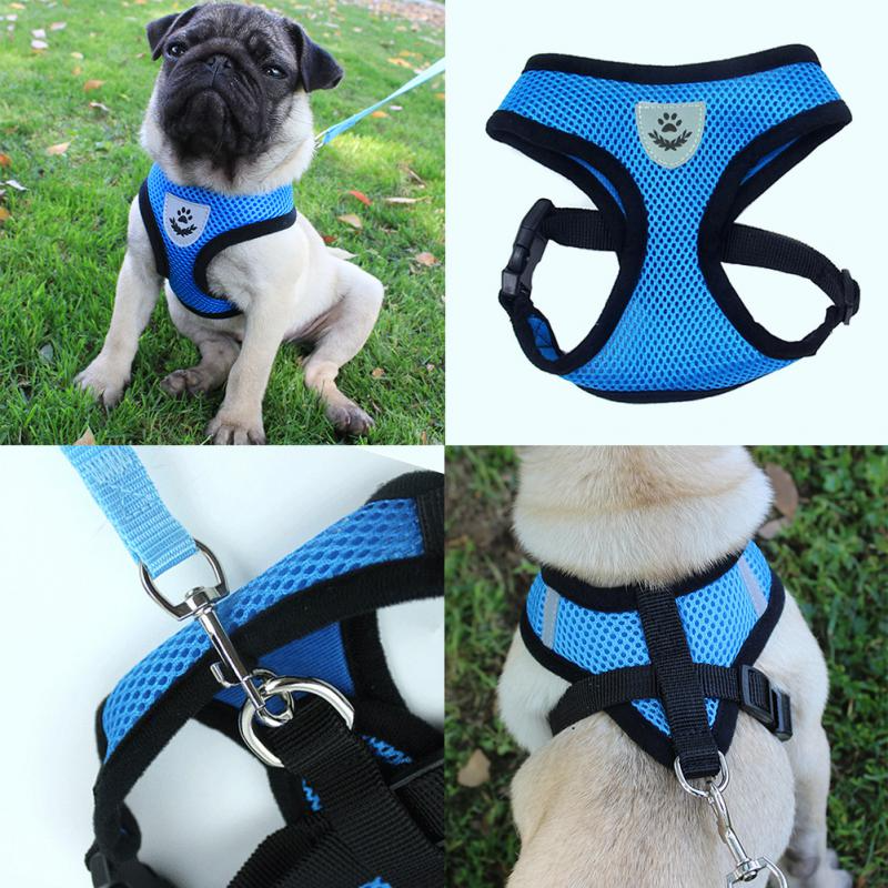 Reflective Pet Harness & Leash Set